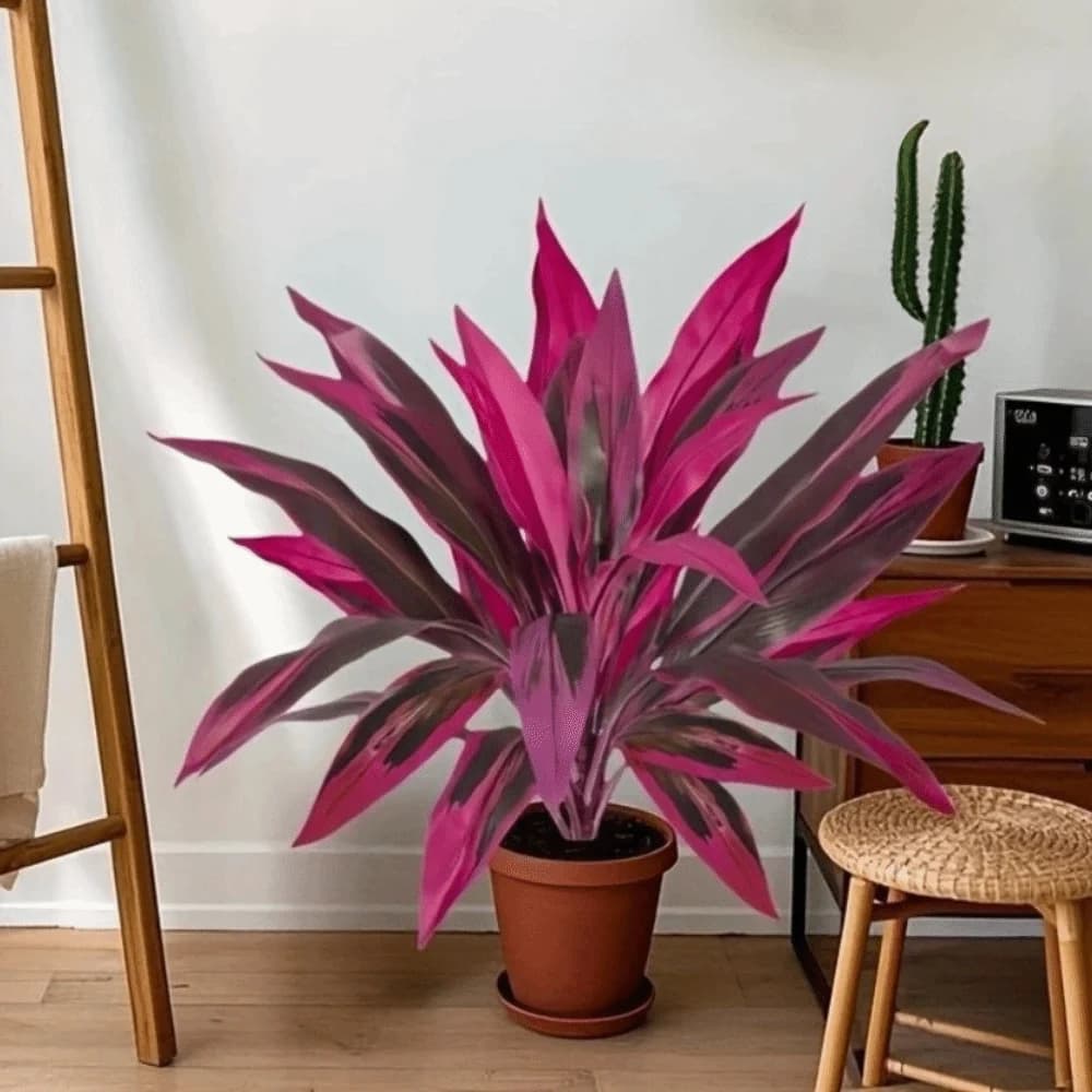 Albero di Dracena Artificiale in Plastica, Piante Tropicali Finte Realistiche e Vibranti, Foglie Resistenti allo Sbiadimento