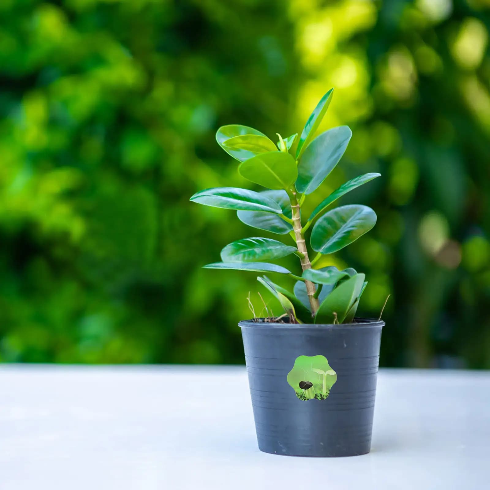 10 Fogli di Etichette in PVC a Forma di Fiore Autoadesive per Vasi di Semi, Adesivi per Giardinaggio Idroponico e Marcatura Semi
