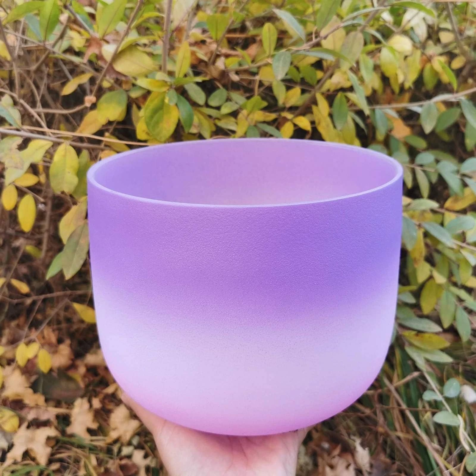 Singing Bowl with Carrying Bag Portable Crystal Singing Bowl Zippered Padded for Sound Therapists, Meditation Areas