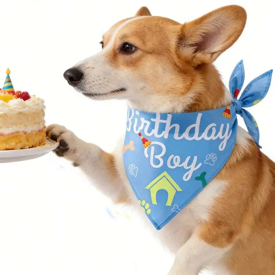 Dog Birthday Bandana Scarf, Happy Birthday Boy Girl Dog Neckerchief, Pet Birthday Party Costume Accessories