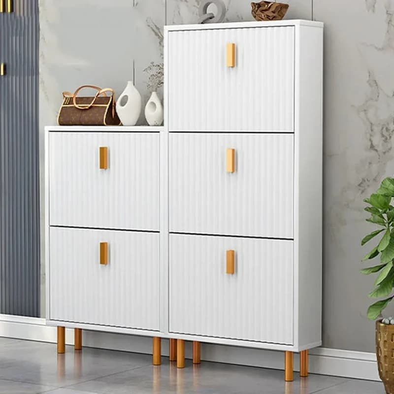 Luxury Nordic Shoe Cabinet Storage Dustproof Narrow Storag Contain Furniture Living Room Articulos Para El Hogar Storag Box