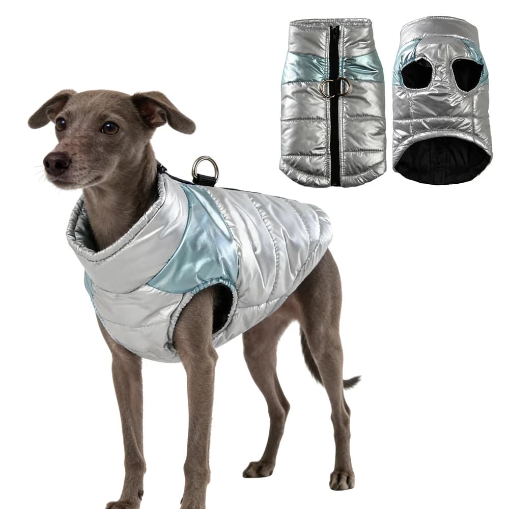 Cappotto impermeabile per cani da compagnia con anello a D per cani di piccola taglia media Gatti Autunno Inverno Giacca per cuccioli antivento Bulldog francese Vestiti per carlino