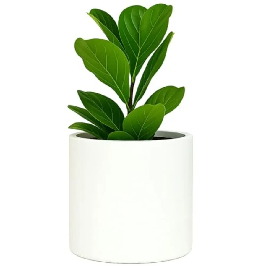 Vaso per Piante Grande, per Interni ed Esterni, Resistente ai Raggi UV e al Gelo, con Tappo di Drenaggio, in Fiberstone, per Interni