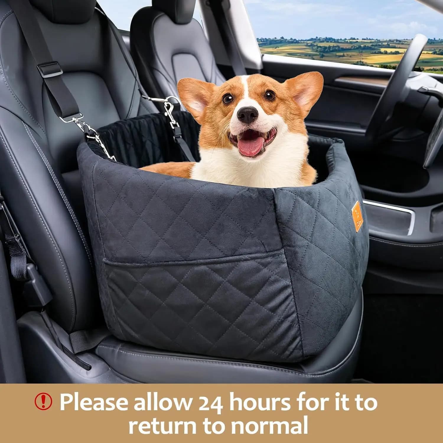 Cuccia per cani da auto in spugna, staccabile e lavabile, cuccia per cani di taglia media, seggiolino di sicurezza per auto, adatta a tutte le stagioni