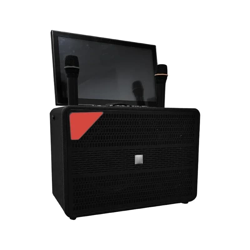 Nuova macchina karaoke portatile per Smart TV e Home Theater con Wi-Fi, Bluetooth, schermo touch HD da 21'' e altoparlante