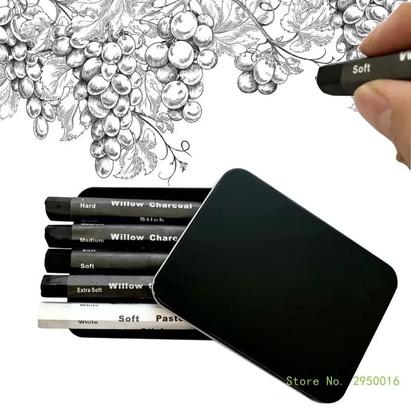 Water Soluble Charcoal Strips Charcoal Sticks Sketching Charcoal Pencils for Sketching Drawing and Shading Art Supplies