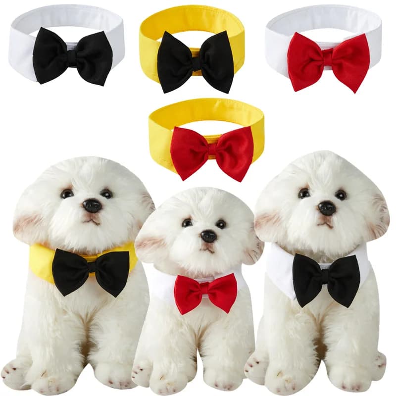Collare con Papillon Regolabile per Animali Domestici, Cravatta Formale per Cani e Gattini, Perfetto per Matrimoni, Feste, Compleanni e Servizi Fotografici