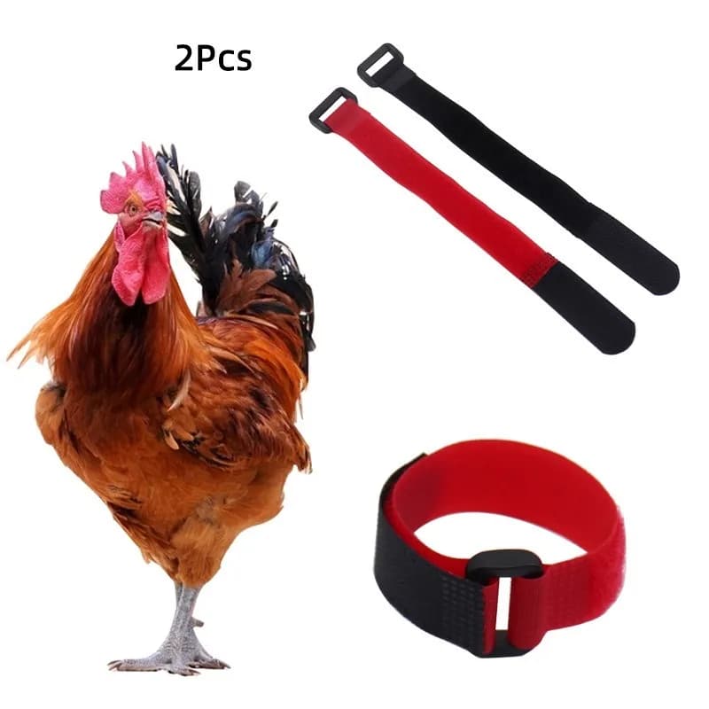 Collare anti-corvo per rooster, anatre, oche, riduzione del rumore, per animali domestici, pollame, accessorio per animali da fattoria