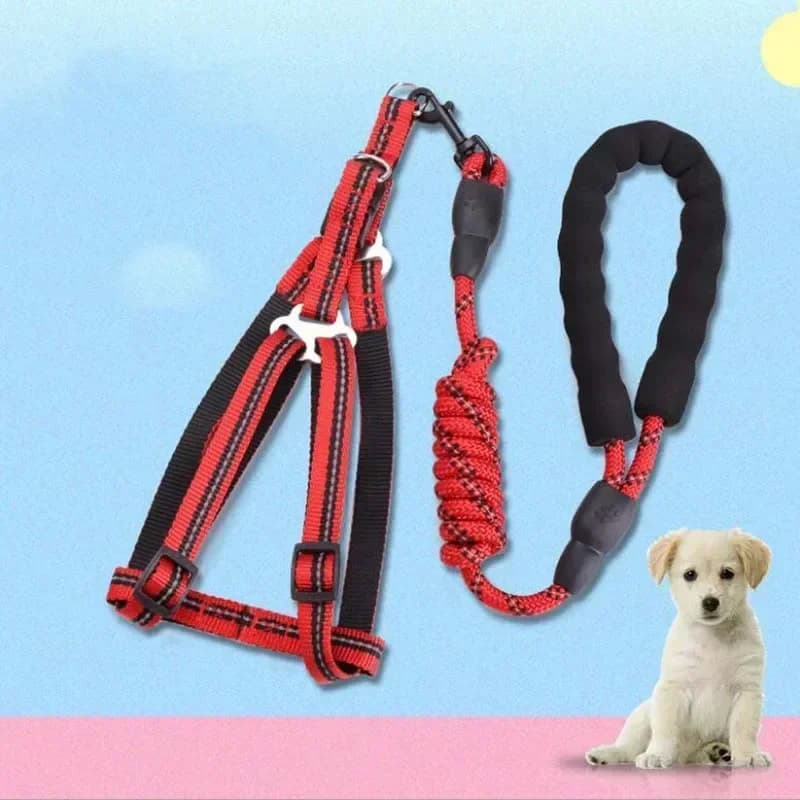 Guinzaglio per cani da 120 cm Guinzaglio per trazione Corda Petto per cani Cinghia posteriore Imbracatura per animali domestici regolabile Guinzagli per cani in corda rotonda con manico