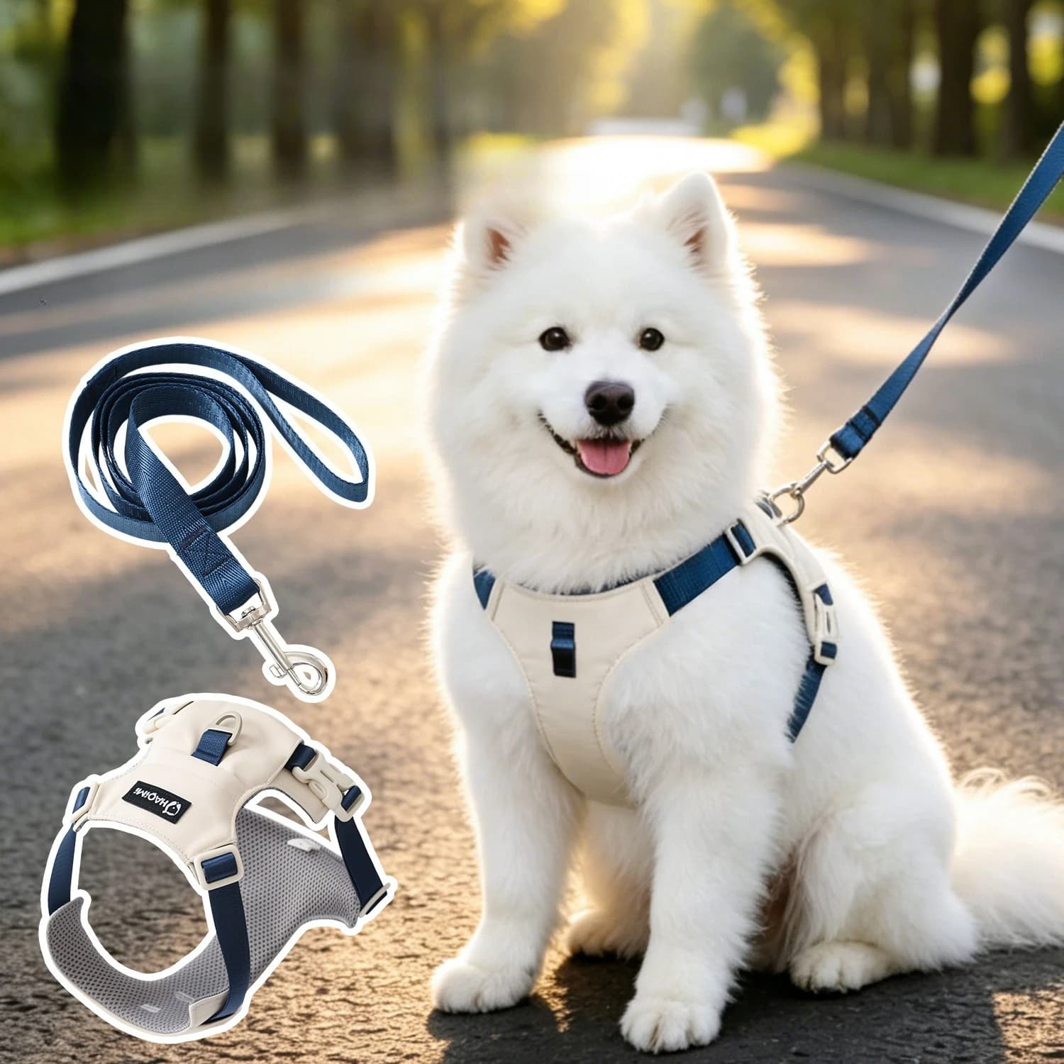 Waterproof No-Pull Dog Harness & Leash Set for Medium Large Dogs, Pet Vest Walking Gear for Golden Retrievers & Labradors