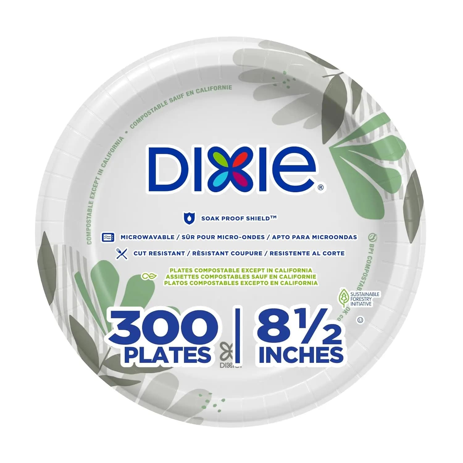 Disposable Card Plates of Medium Weight 8 1/2 Inches, Pathways, 300 Pieces, Large Pack, 6 Packs of 50 Pieces