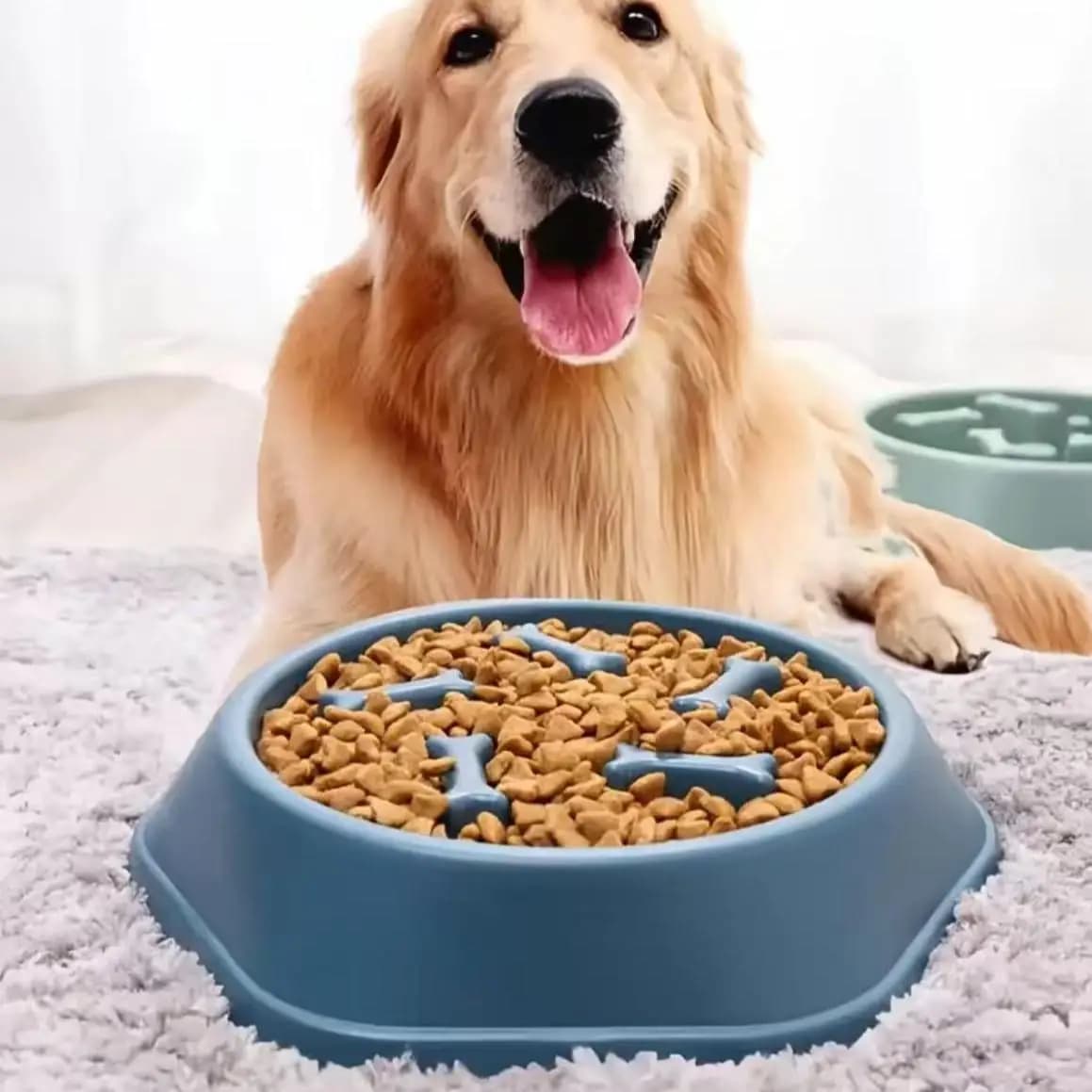 Ciotola Interattiva Anti-ingozzamento per Cani e Gatti, Design per Alimentazione Lenta, Previene la Dilatazione Gastrica