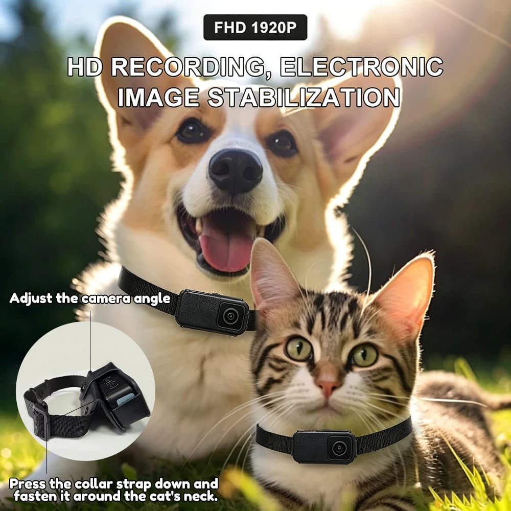 HD 1080P Pet Cameras Outdoors Wireless Collar Camera No WiFi Needed Video Records for Cats Dogs Birthday Gift Mini Camera