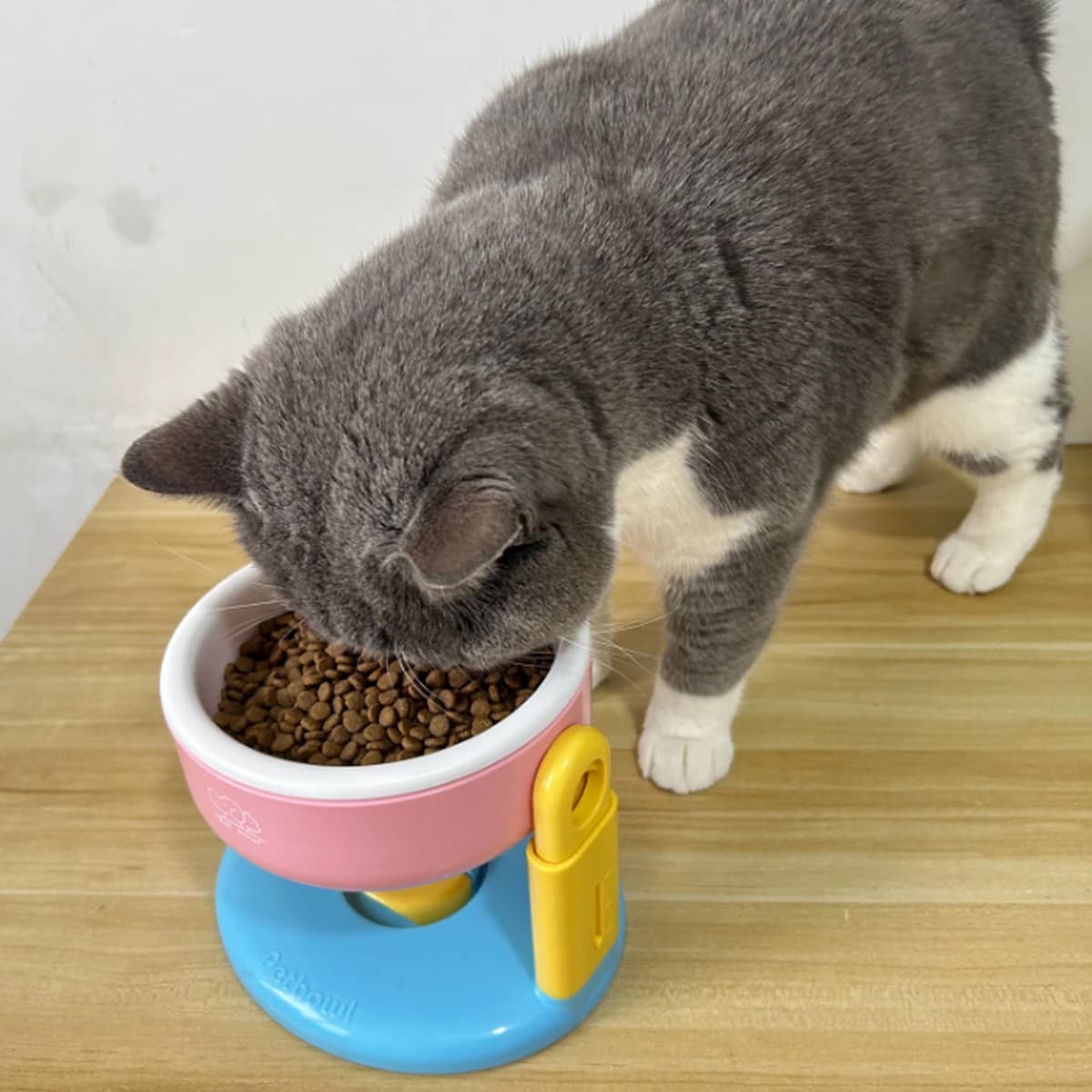 Ciotola Inclinata Regolabile per Animali Domestici, Simpatica e Colorata, con Supporto Antiscivolo, Anti-Rovesciamento, Anti-Vomito, Ergonomica per il Collo