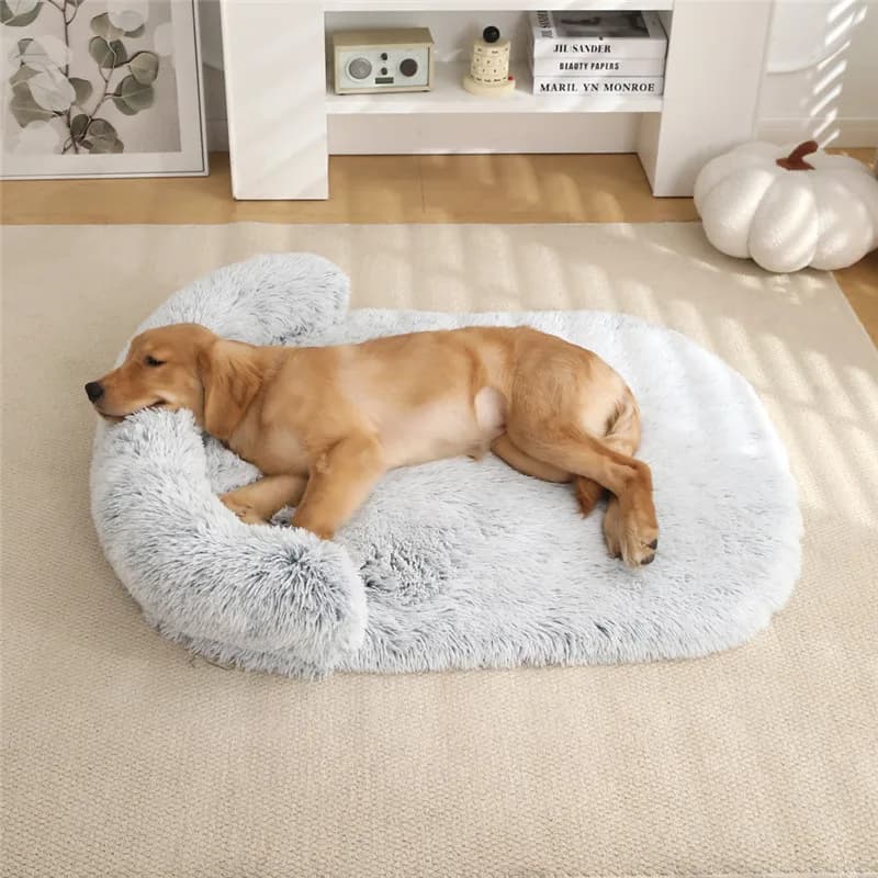 Divano per cani ortopedico impermeabile e lavabile, letto per animali domestici in schiuma d'uovo con fondo rimovibile e fondo antiscivolo