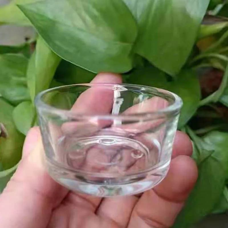Acquario di vetro Pet Reptile Alimentatore Ciotola Bacino Cibo Acqua Pentola Rettile Tartaruga Tartaruga Scorpione Lucertola Granchi Forniture