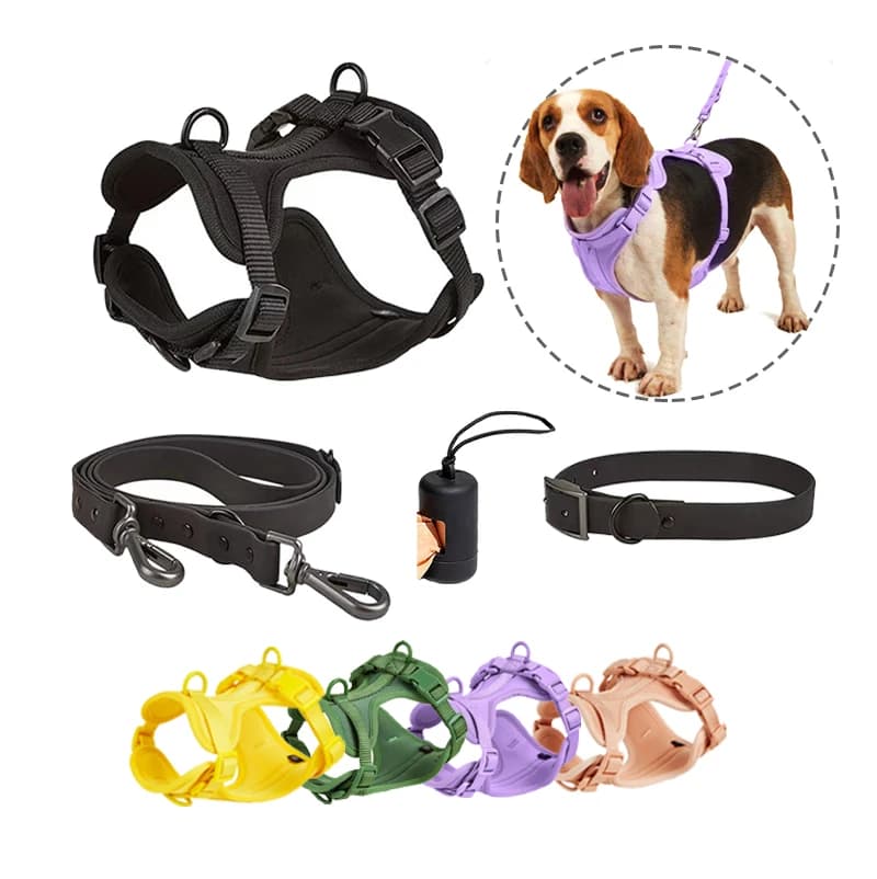 2024 Designer di lusso personalizzato Design in PVC Logo personalizzato No Pull Neoprene Pet Cat Dog Harness Guinzaglio Collare di piombo Set e collare