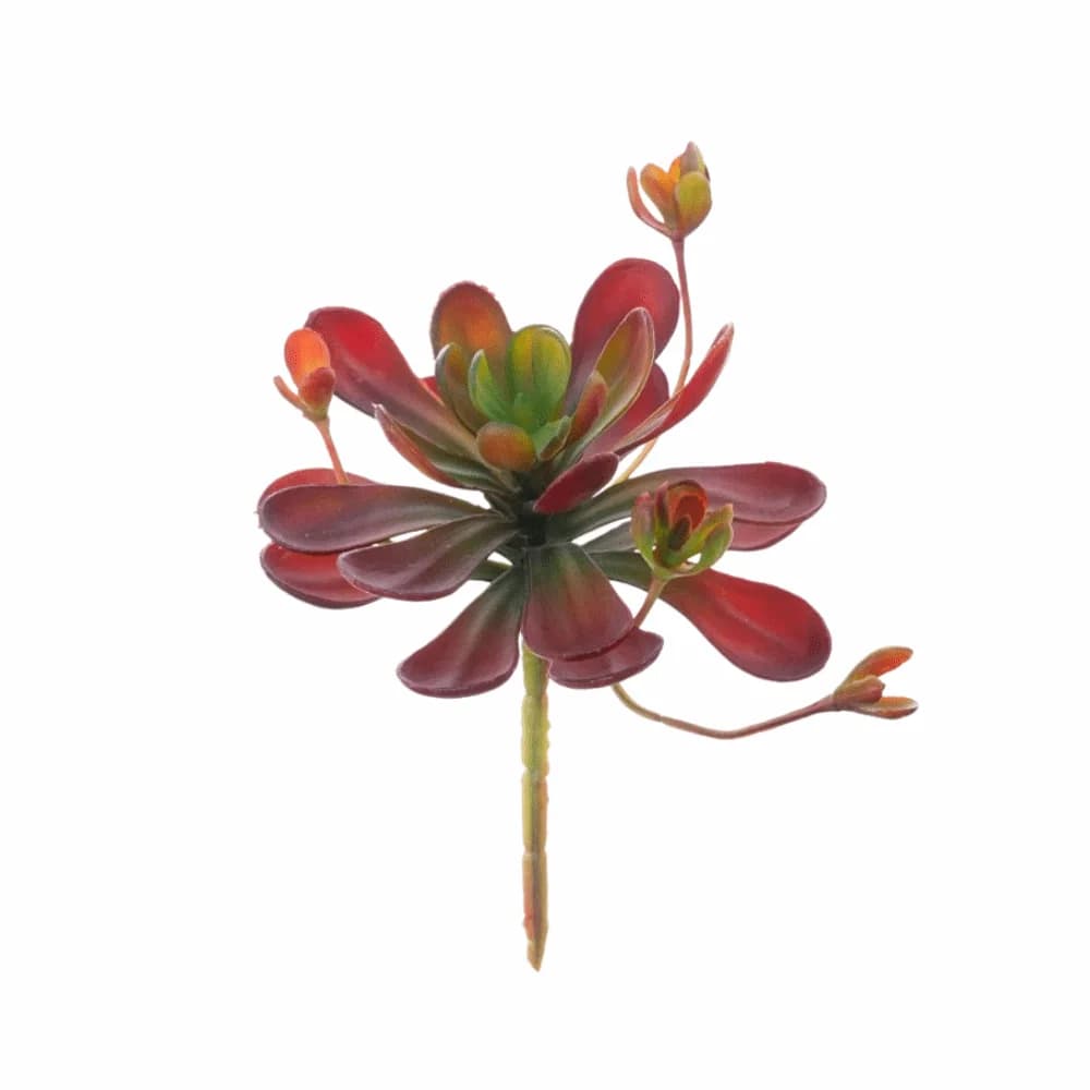 Pianta Succulenta Artificiale Realistica, Cactus Finto in Plastica, Bonsai Simulato con Effetto Tattile Reale, Decorazione da Scrivania