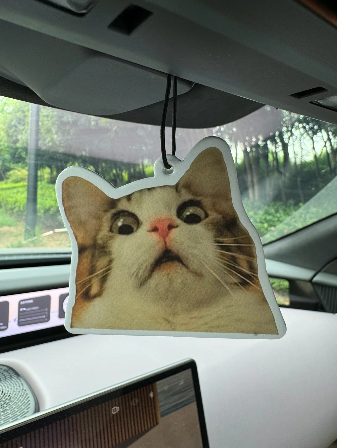 Profumatore per Auto a Forma di Gatto Sorpreso, Dura 90 Giorni, Fragranza Naturale Qualità Hotel Cinque Stelle (Profumo di Lusso Identico a Quelli delle Hall di Hotel Globali)
