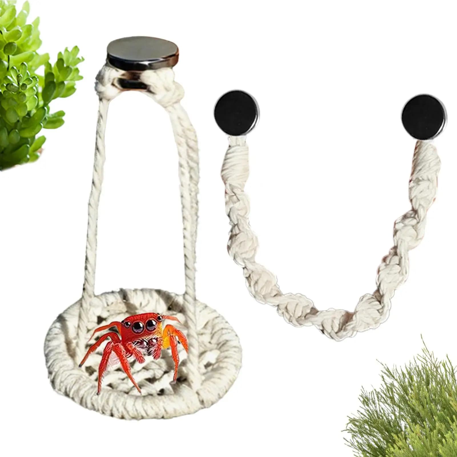 Jumping spider rope bridge swing swing 2 pieces Cotton cord Natural handcrafted hammocks Jumping spider accessories for camping walks