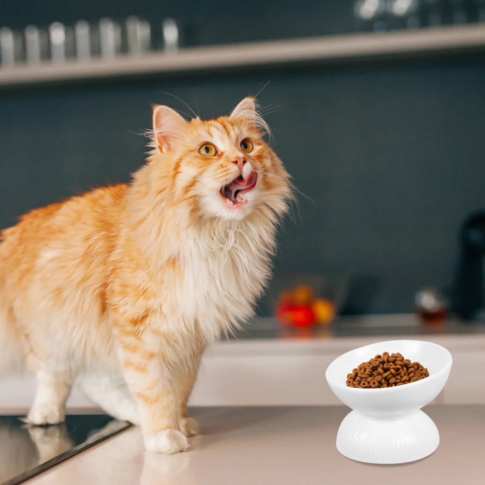 Ciotola Inclinata in Ceramica Premium per Gatti, per un'Alimentazione Confortevole e Protezione del Collo, Ciotola Antiribaltamento per Animali Domestici, Superficie Liscia per Cibo e Acqua