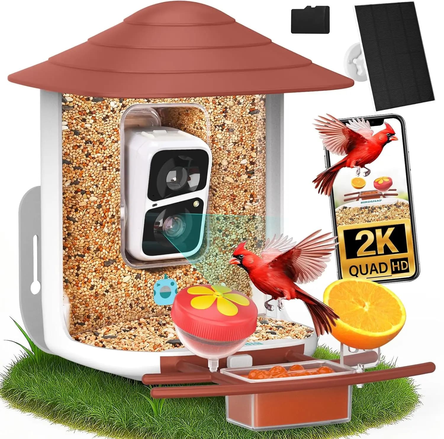 Mangiatoia per Uccelli 2K HD con Telecamera, Pannello Solare e Identificazione AI, Rilevamento Automatico e Notifiche, Regalo Wireless per Amanti degli Uccelli