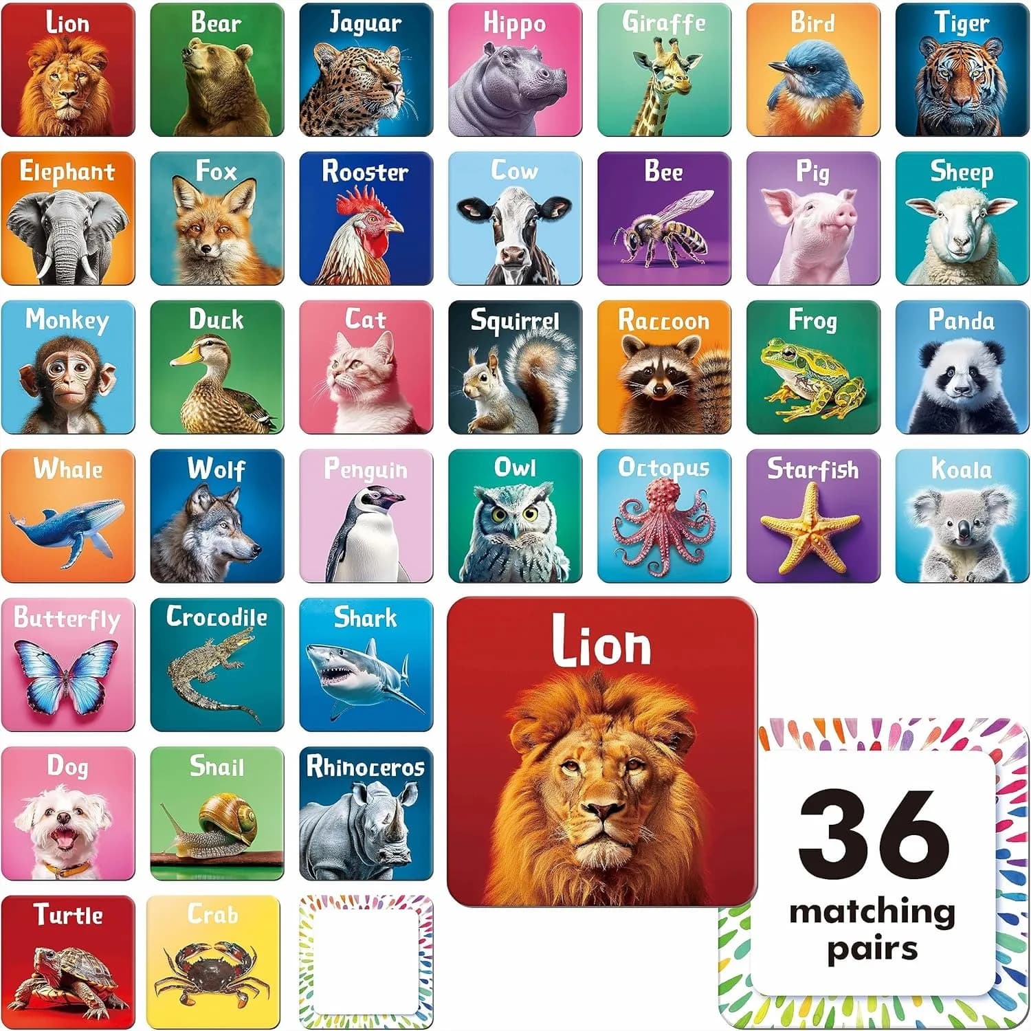 Gioco di Memoria con 72 Carte, 36 Paia di Carte con Animali Reali per Bambini, Giocattolo Educativo Prescolare