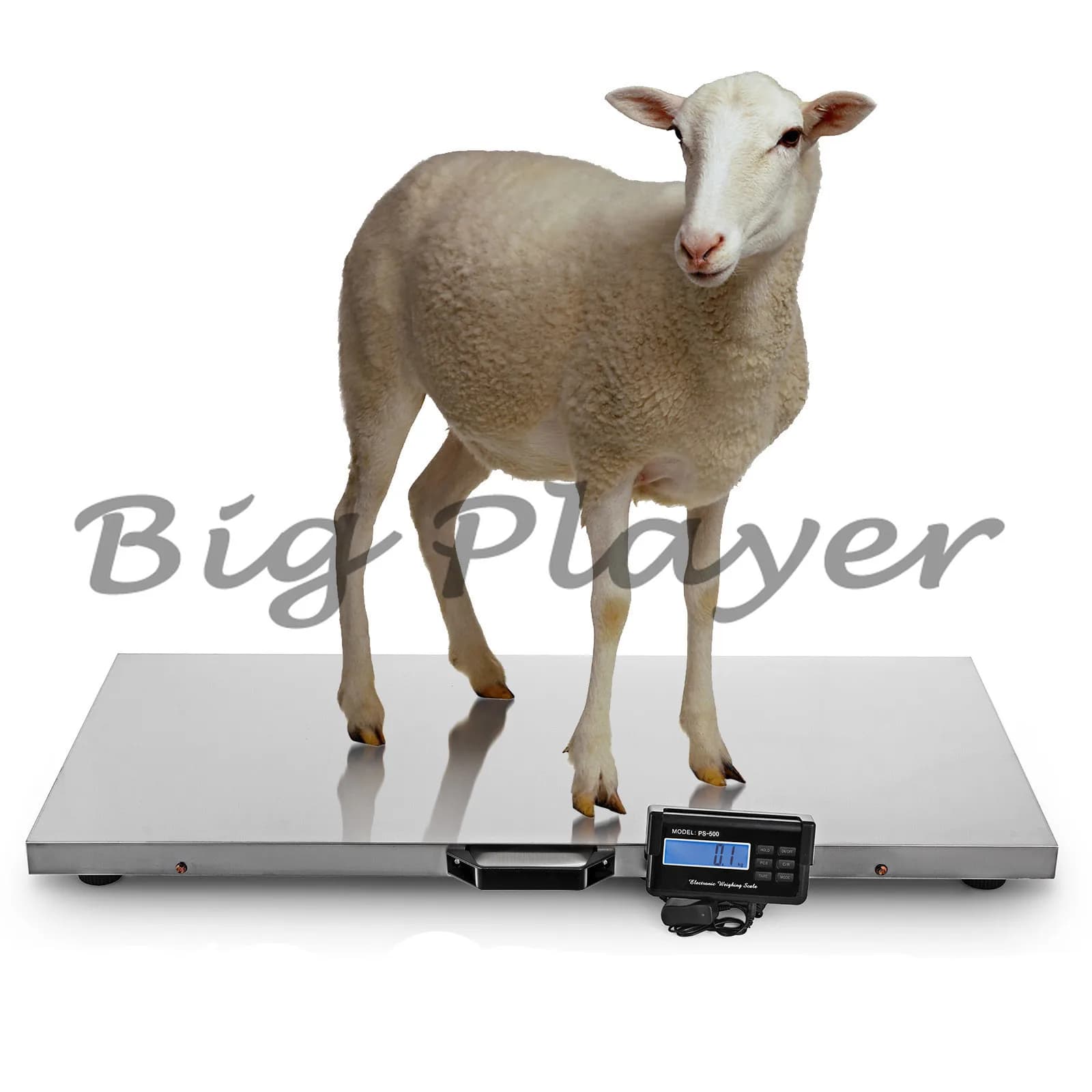 Bagaglio a mano elettronico per pacchi di precisione Bilancia da tavolo per animali domestici da 500 kg Bilancia postale Express in acciaio Libbra per allevamento di animali