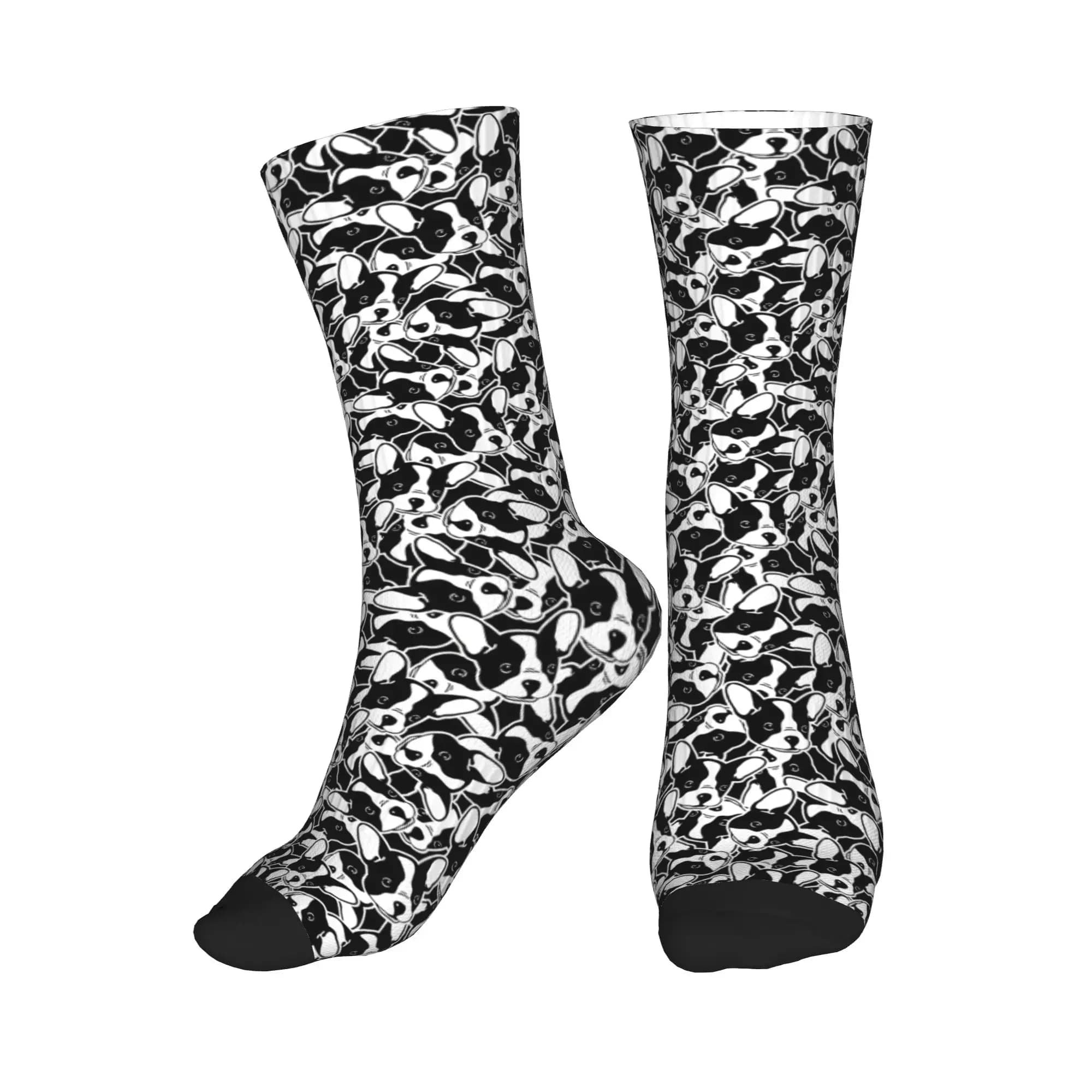 Calzini con stampa simpatica di bulldog francese per uomo e donna, calzini elasticizzati per l'estate, l'autunno e l'inverno, per amanti dei cani Frenchie