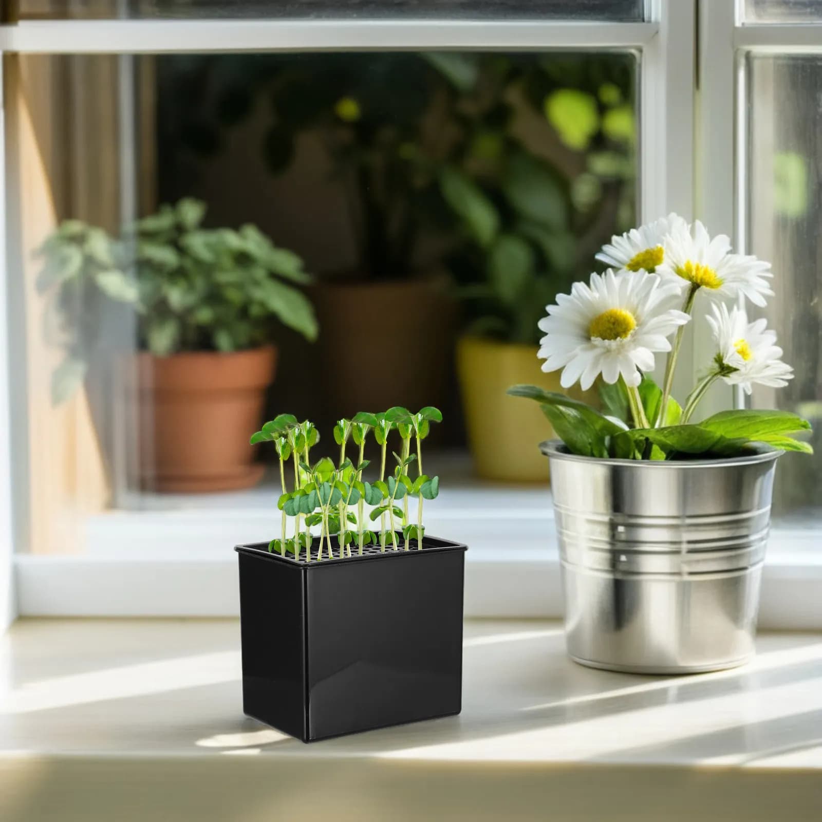 Hydroponic Container 96 Holes Large Capacity Garden Hydroponics Growing Tray Indoor Plant Propagation Box Water Plant Pot