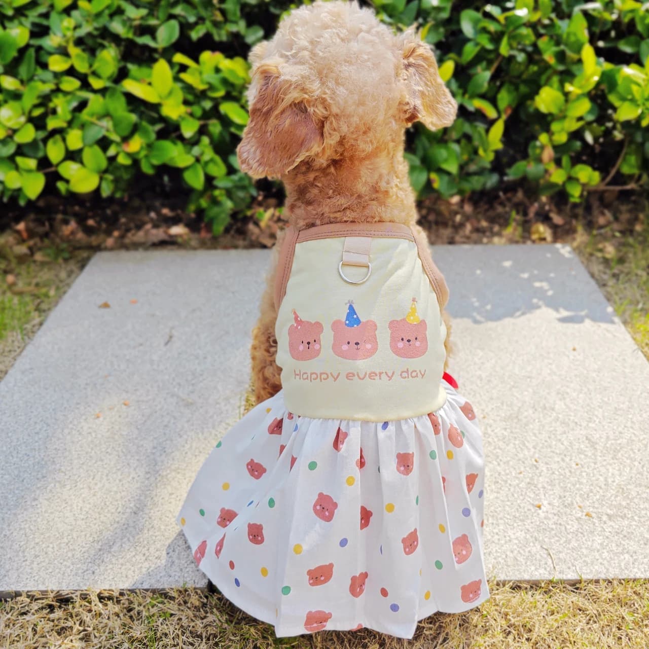 Simpatico orso salsiccia costumi per cani gilet giallo pettorina abiti XS 3XL Corgi Chihuahua abbigliamento estivo per accessori da indossare per gatti