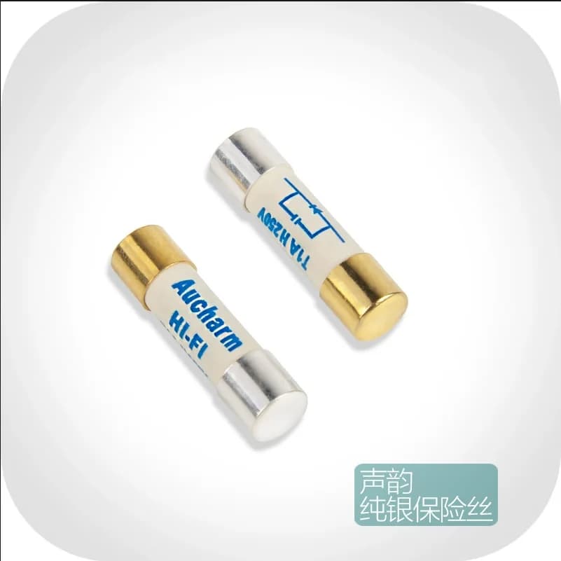 2 PZ Aucharm Fusibile In Argento Puro 4N Fusibile In Argento 2A-15A Fusibile In Oro Ceramico 5x20MM