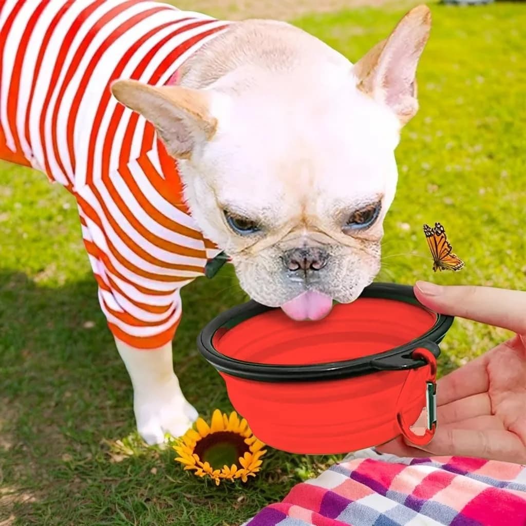 Silicone Collapsible Pet Bowl Portable Travel Feeder Carabiner‑Equipped Food Water Container For DogCat Outdoor Camping Supplies