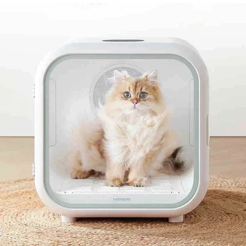Asciugatrice per Animali Domestici 900W 220V, Asciugacapelli Automatico per Cani e Gatti, Macchina Soffiatrice per Peli 50L, Asciugacapelli Intelligente per Animali, Prodotti per la Pulizia dei Cani
