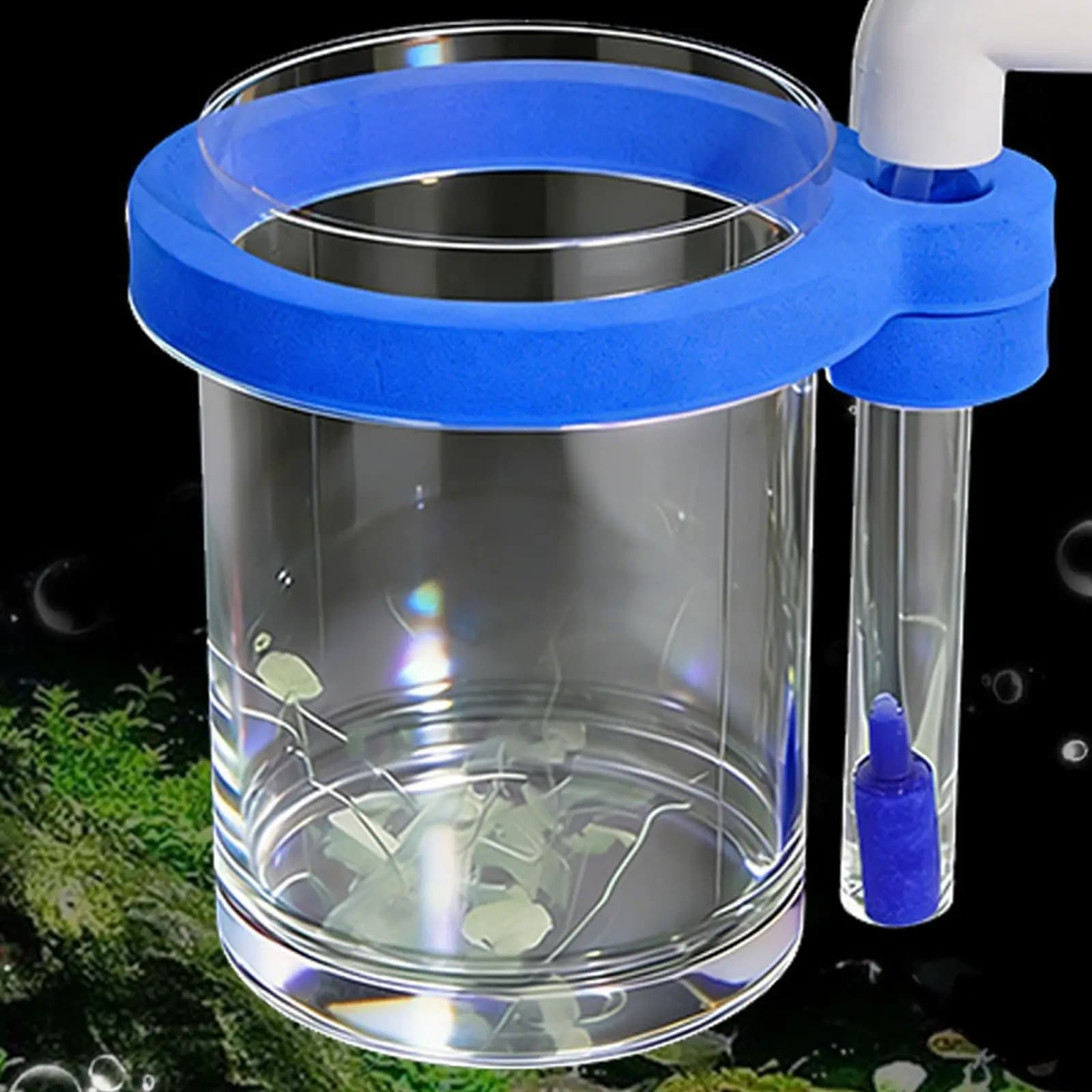 Scatola per l'allevamento di pesci da acquario, robusta, decorazione da appendere, in acrilico, regalo, sostituisce il contenitore per l'alimentazione, comoda, trasparente, scatola di isolamento, scatola per allevamento pesci