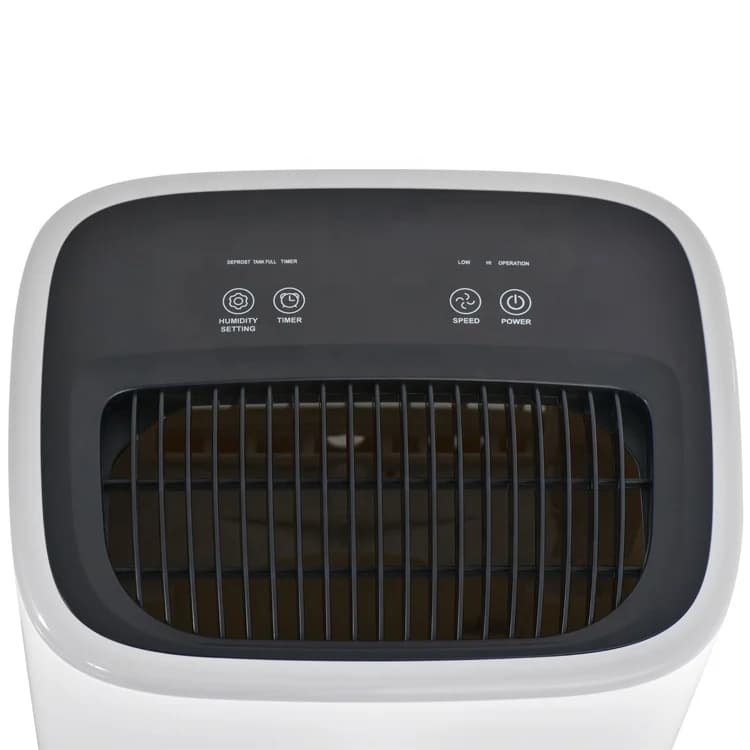 Deumidificatore compatto all'ingrosso R290 Acqua Full Auto Stop 10L Deumidificatore macchina con sensore remoto Intelligenza intelligente