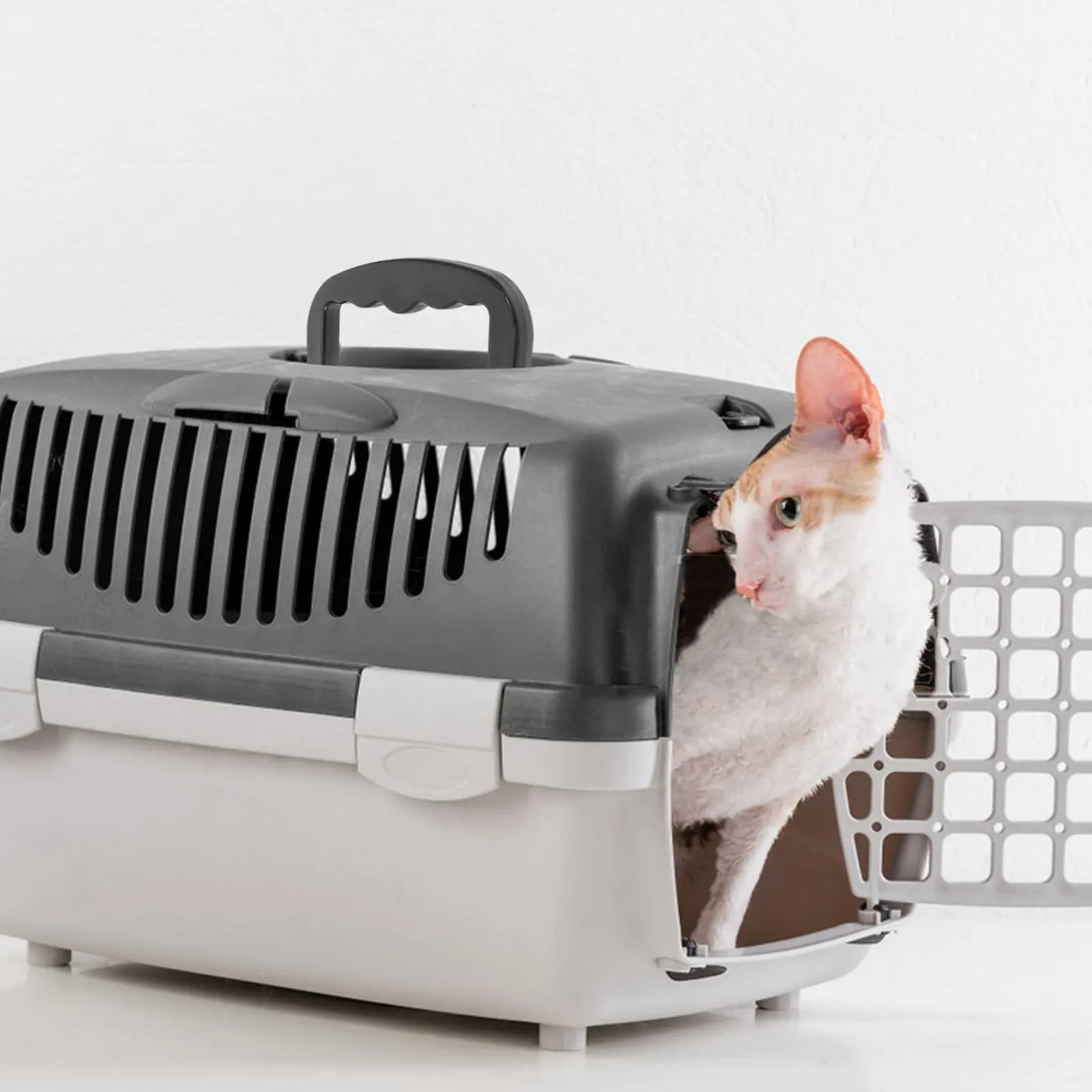 Set di 6 Maniglie di Ricambio Universali in Plastica per Trasportini di Animali Domestici, Comode e Sicure per Piccoli Animali, Ideali per Viaggi al Veterinario e Uso Quotidiano