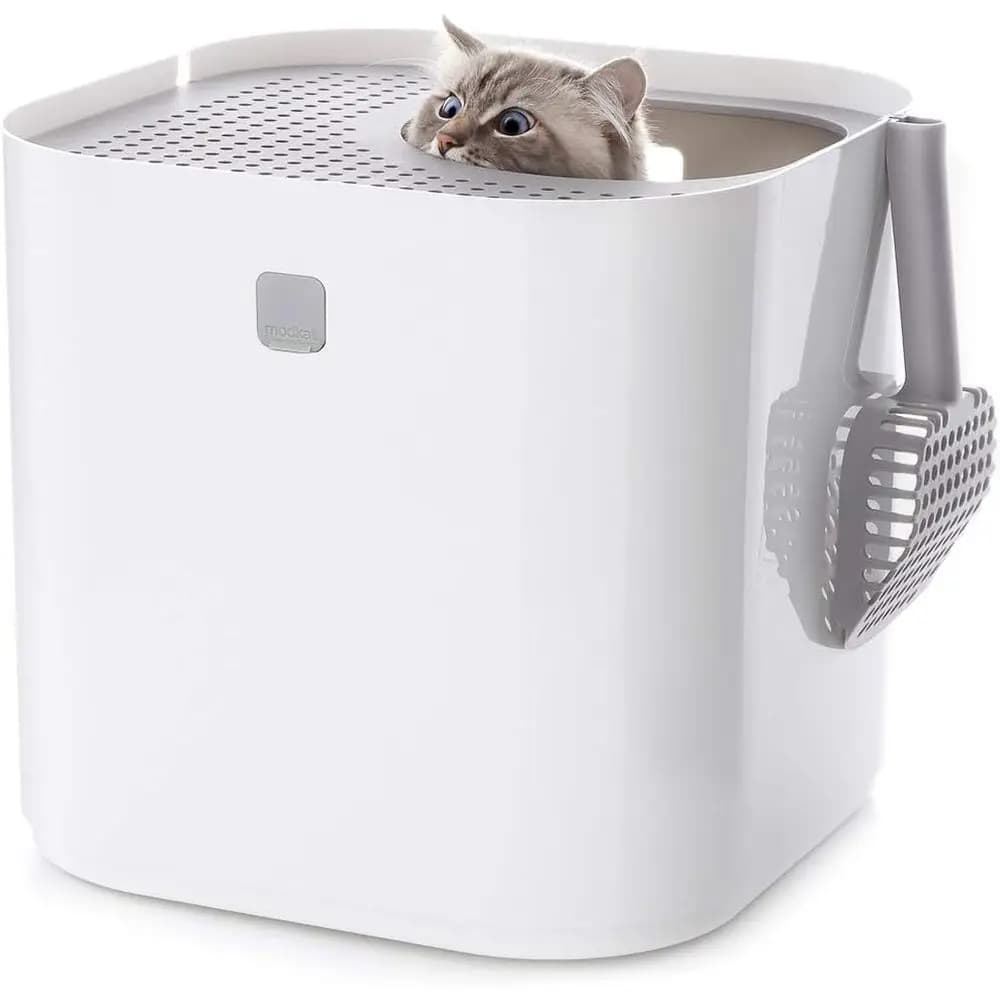 Lettiera per Gatti con Coperchio Girevole - Riduzione della Sporco, Facile da Pulire, Anti-perdita, Resistente ai Cani, con Paletta e Sacchetto