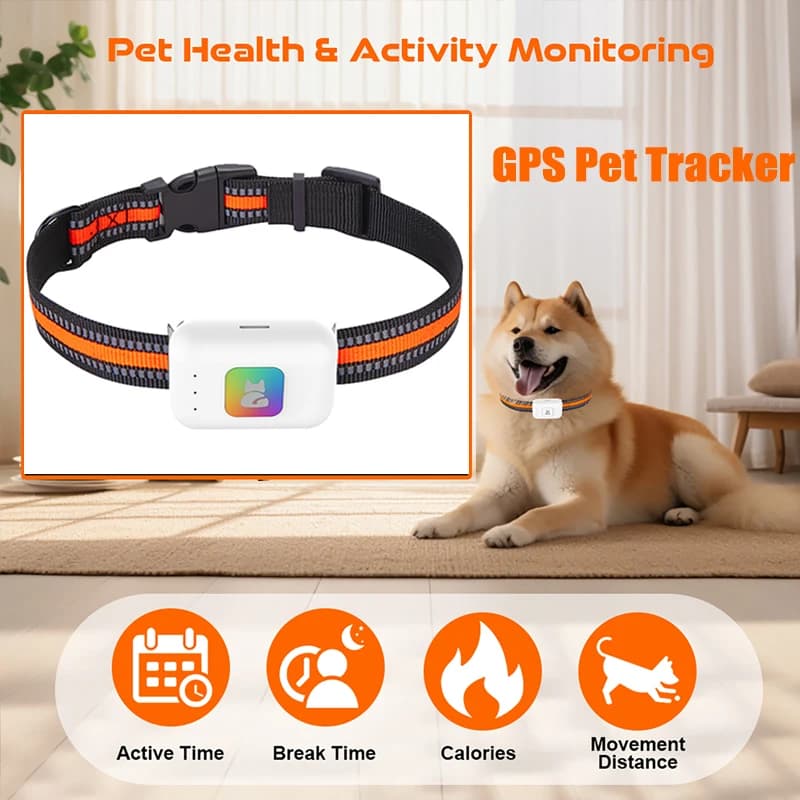 Dispositivo di localizzazione GPS AGPS per animali domestici Collare localizzatore GPS per animali domestici 4G SOS Geofence Monitoraggio dei dati della salute della pista storica per gatti e cani