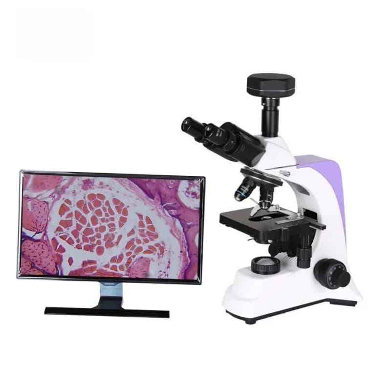 Microscopio Biologico Digitale da Laboratorio Medico 2026 per Scienziati e Uso Veterinario Animale per Attrezzature Commerciali