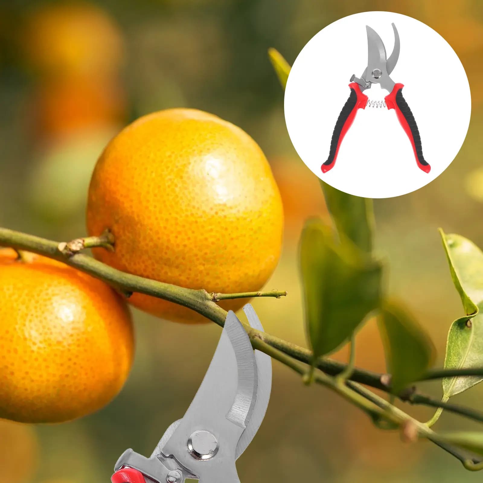 Pruning Shears Garden Shears Heavy Duty Metal Cutting Scissors for Branch Leaf Garden Pruning Tools Professional Outdoor