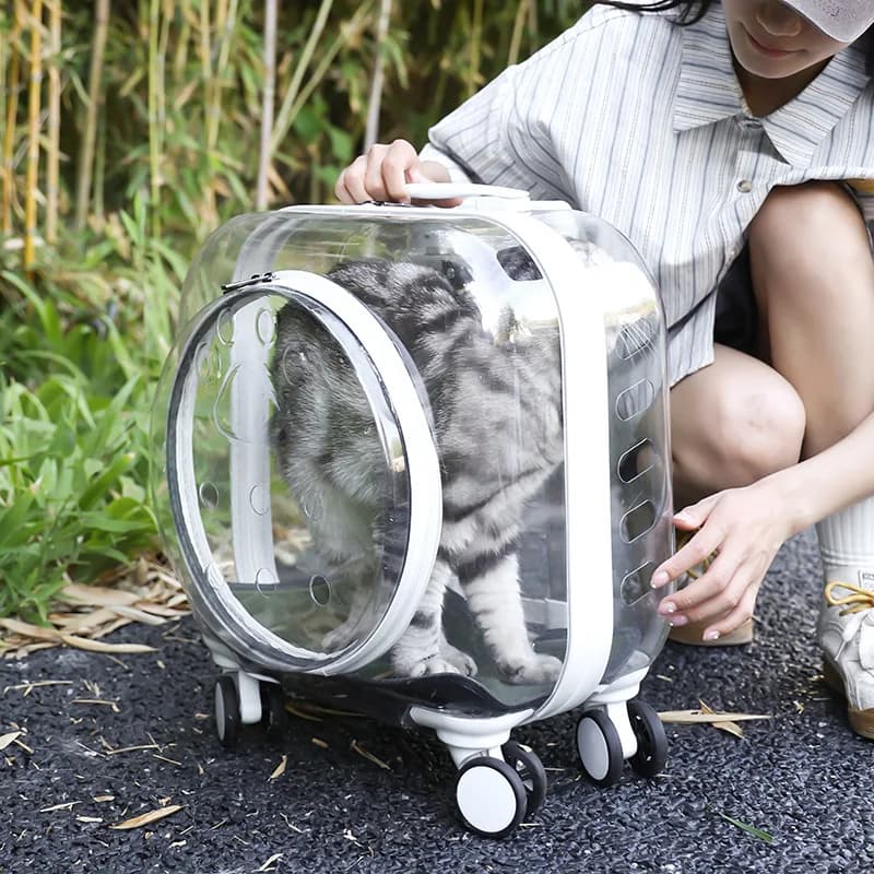 Trolley trasparente per animali domestici Borsa da trasporto per gatti leggera e traspirante per esterni Borsa per zaino per gatti Borsa per trasporto di piccoli animali
