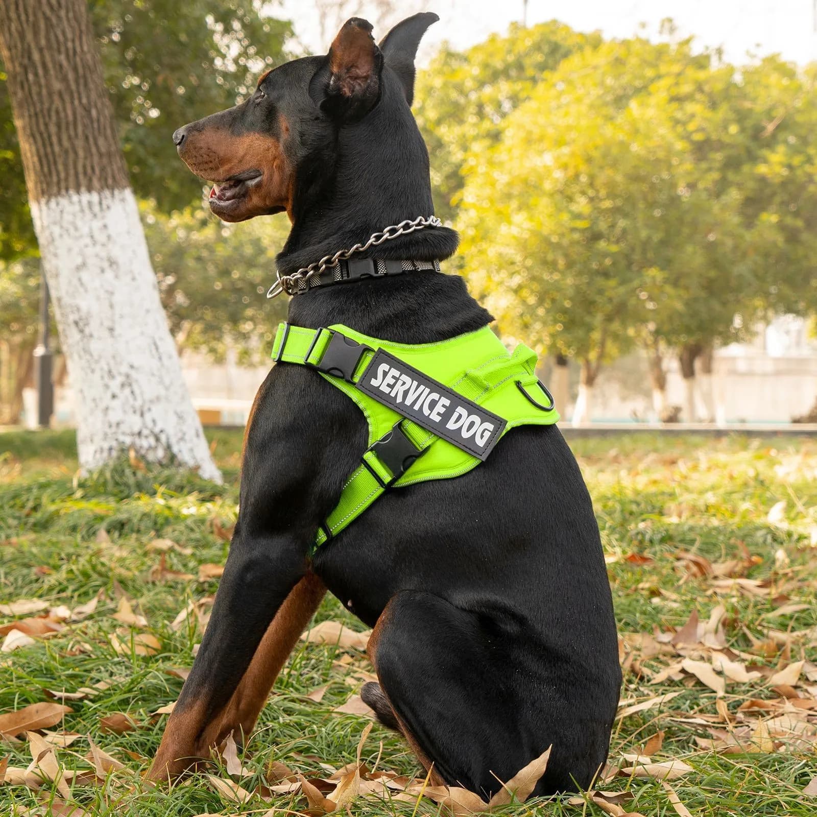 Pettorina per cani più venduta, per cani di taglia media e grande, anti-esplosione, antiscivolo, collare per cani, accessori per cani
