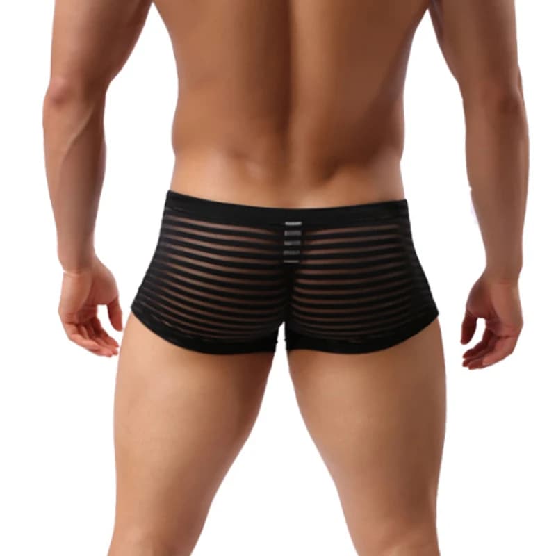 Boxer trasparenti da uomo Intimo sexy a righe trasparenti in rete Vedi attraverso mutande Boxer Pantaloncini a rete Cuecas