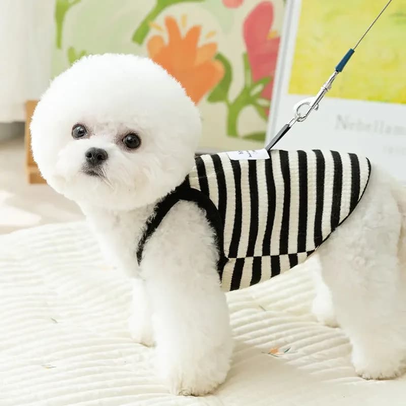 Summer Thin Striped Dog Vest Harness for Small Medium Dogs Teddy Bichon Pet Clothes Puppy Costume Cat Clothes