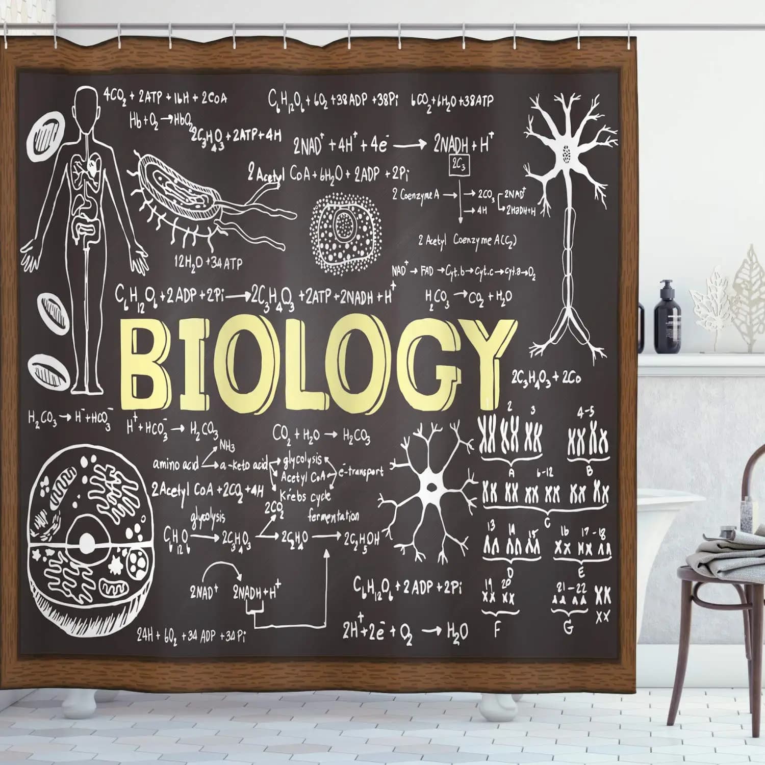 Tenda da doccia scientifica, biologia di lavagna nera scritta a mano, set di decorazioni per il bagno lavabili in tessuto di stoffa con ganci, nero marrone