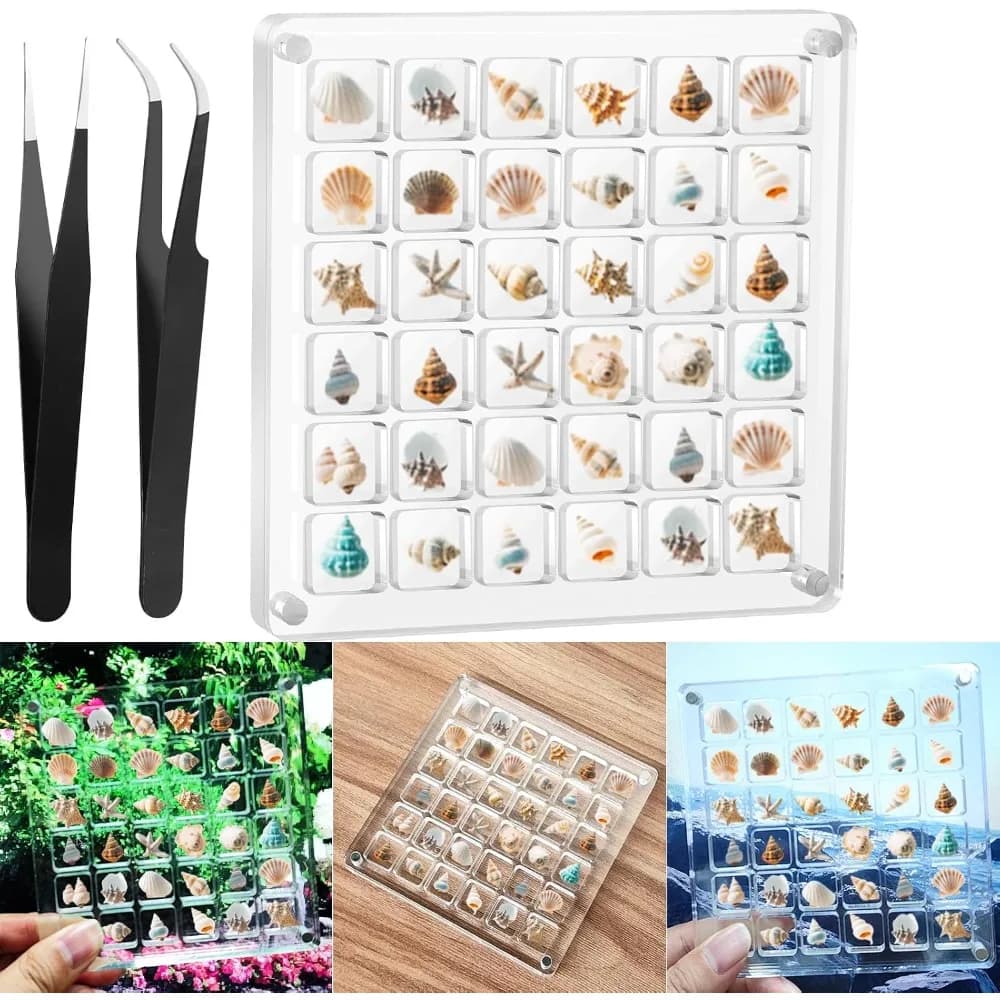 Clear Acrylic Magnetic Seashell Display Case with 36 Grids Beach Shell Collecting Storage Organizer Box for Tiny Shells Diamonds Beads Jewelry
