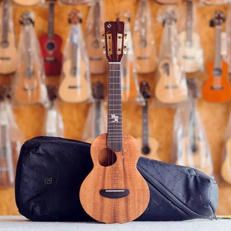 BRIGHT SUN Ukulele 23 Pollici Edizione Speciale Gatto, Legno di Acacia Hawaiano, Ukulele Interamente in Legno Massello Koa Super Meow con Custodia