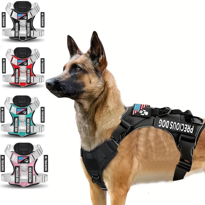 Pettorina Riflettente per Cani con 5 Patch, Pettorina per Cani da Servizio Regolabile in Morbido Oxford