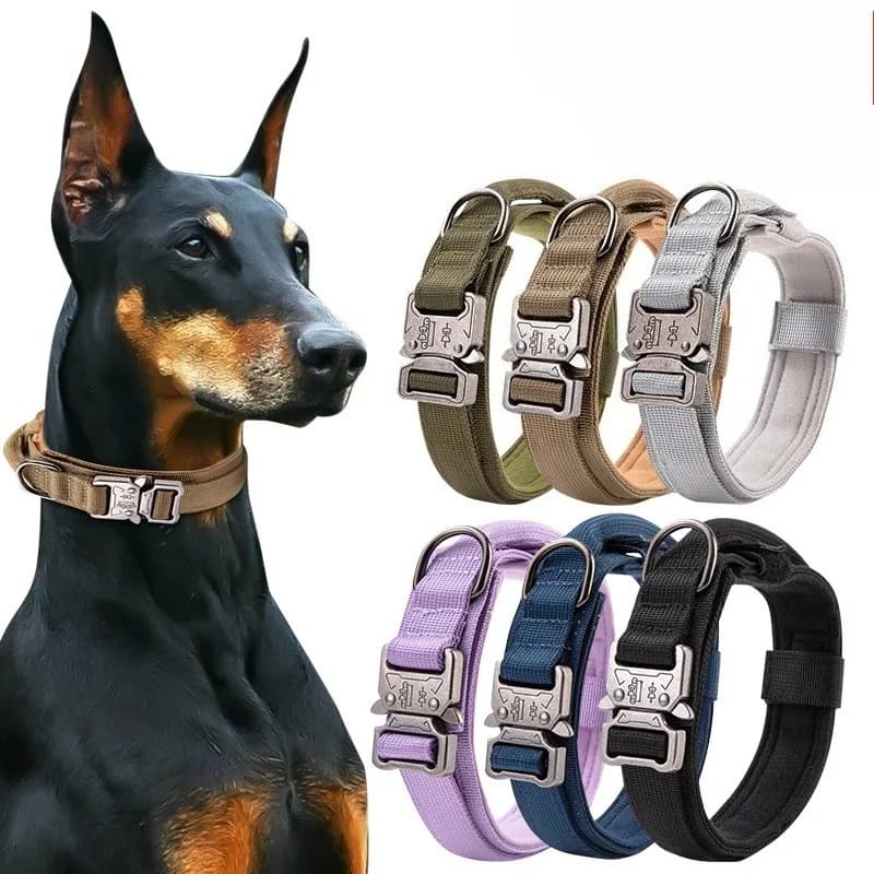 Collare per Cani Resistente con Maniglia Regolabile per Cani di Taglia Grande, Attrezzatura per Addestramento all'Aperto